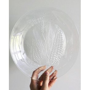 Glass plates with corn cob, 5 pcs total