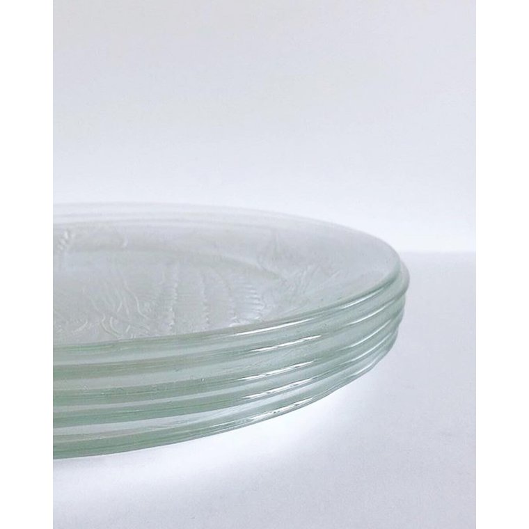 Glastallerkener med majskolber, 5 stk samlet