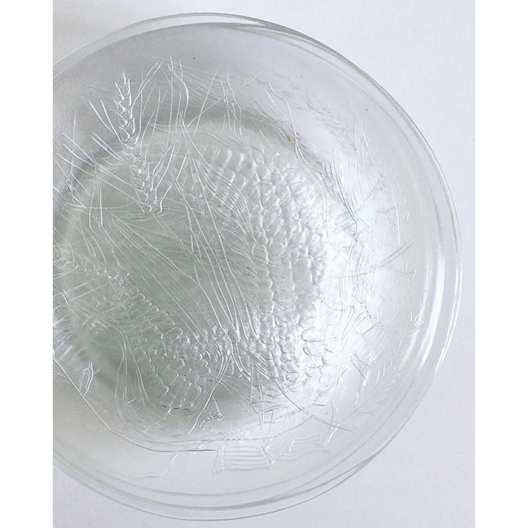 Glastallerkener med majskolber, 5 stk samlet