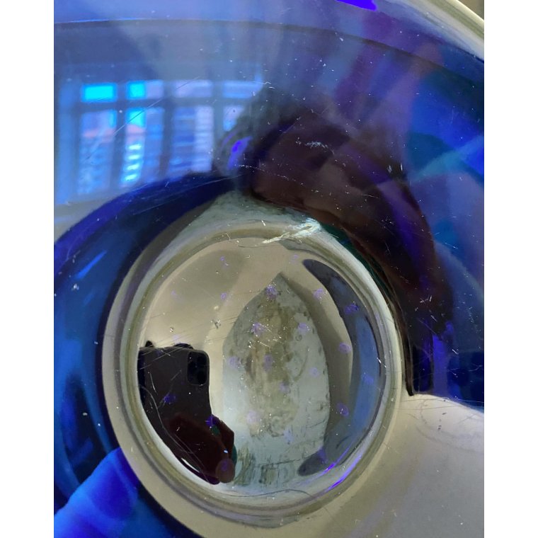 Koboltbl, oval, hj, NB