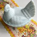 Opaline hen, bluish tint, large, NB