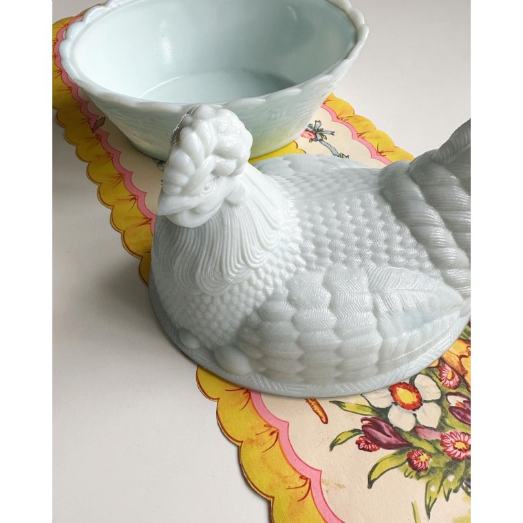 Opaline hen, bluish tint, large, NB