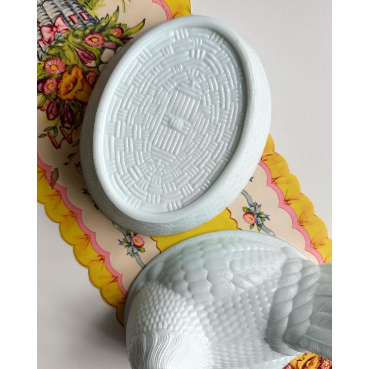 Opaline hen, bluish tint, large, NB