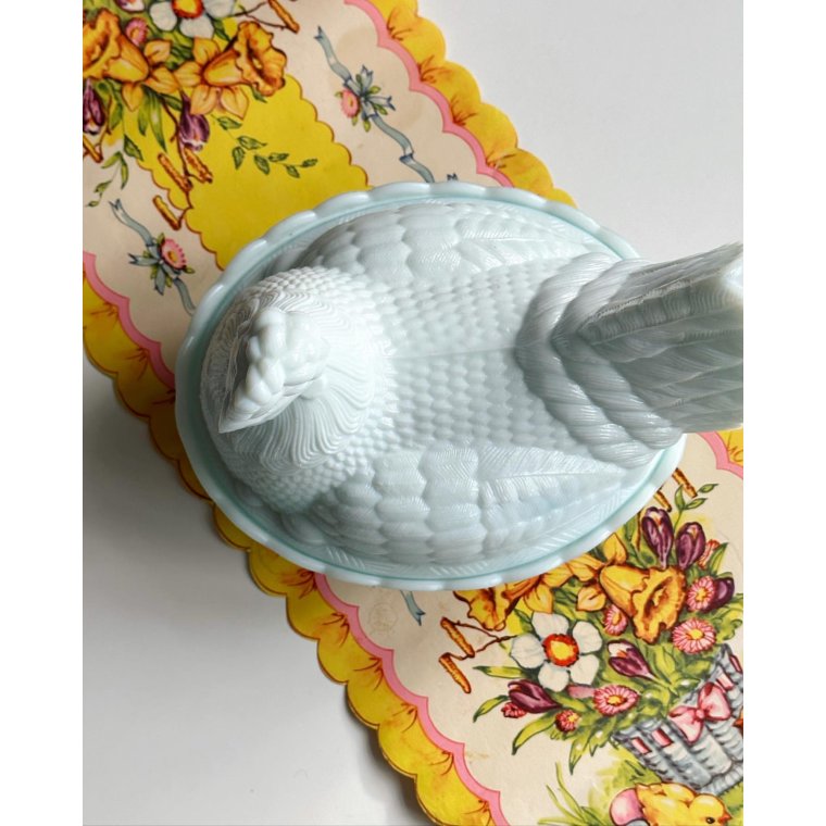 Opaline hen, bluish tint, large, NB