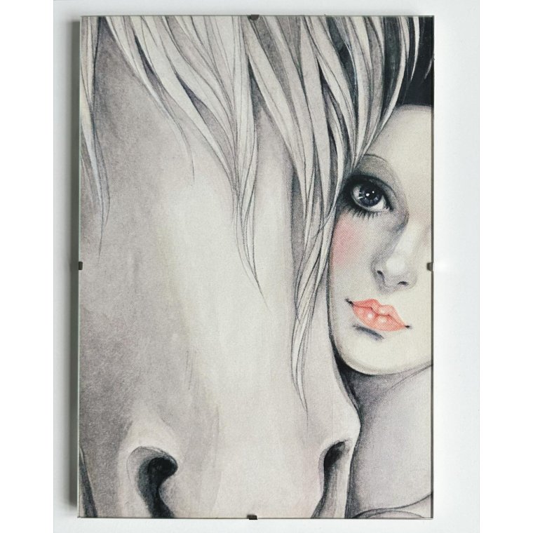 Mira Fujita, harlekinbillede i skifteramme