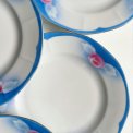 Tjekkoslovakiske middagstallerkner m roser og bl farve, 7 stk samlet