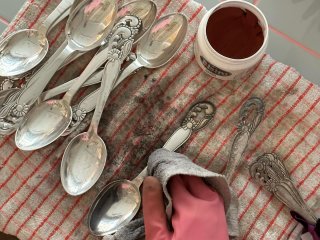 Pas godt p dine skatte - slv og pletslv