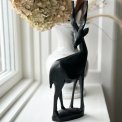 Antilope, wood, large