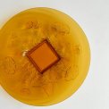 Round glass platter w flowers, amber