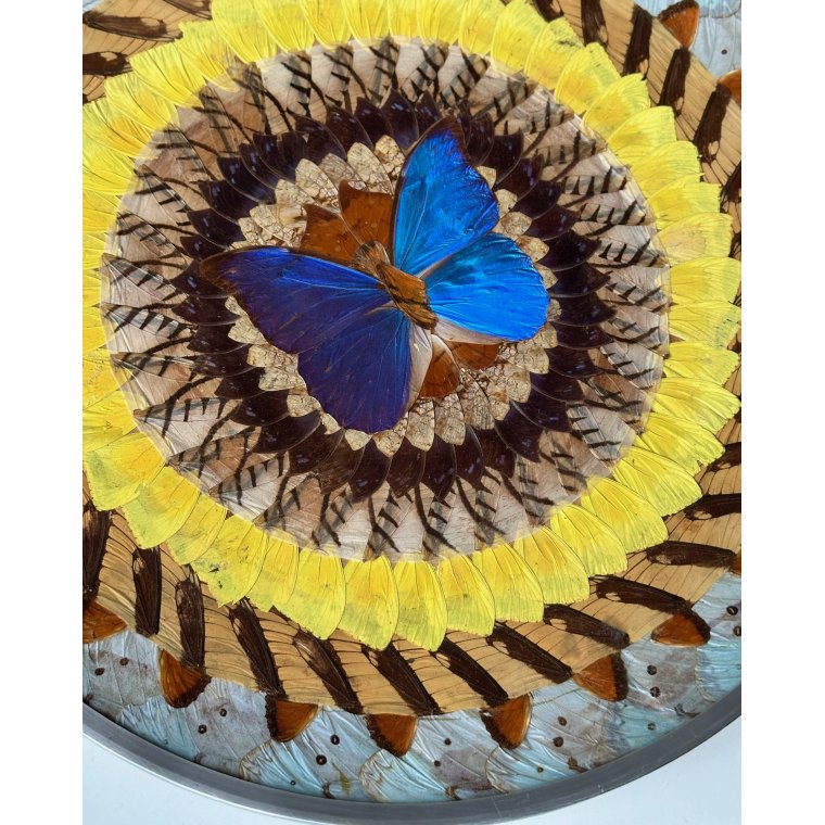 Metalfad m sommerfugle