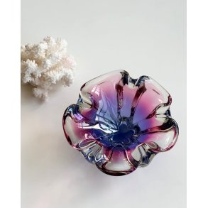 Tjekkisk flammesk�l, lilla