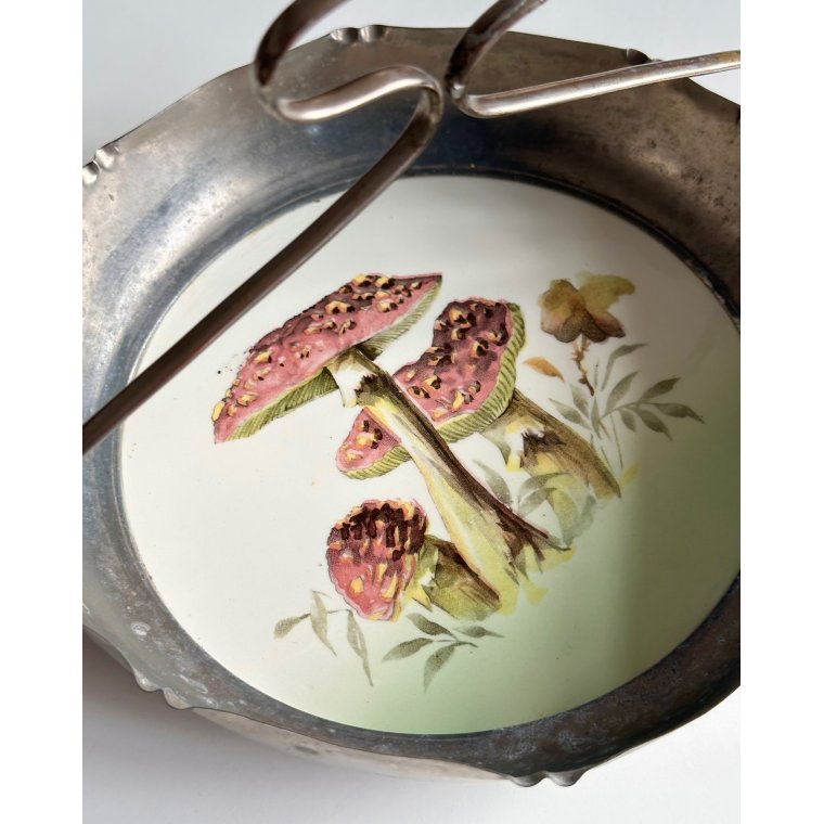 Sk�l m hank, svampe