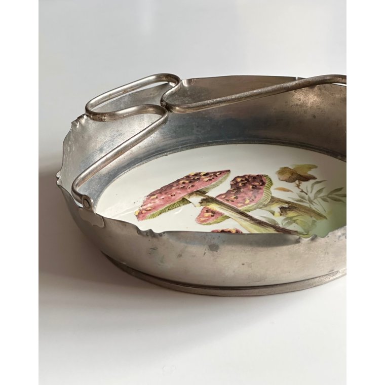 Sk�l m hank, svampe