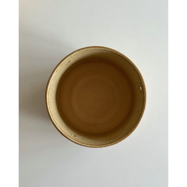 Hngeskjuler, appelsin