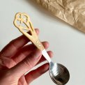 Spoon, bone and steel