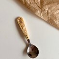 Spoon, bone and steel