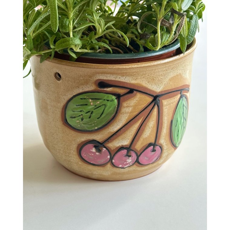 Hngeskjuler, kirsebr