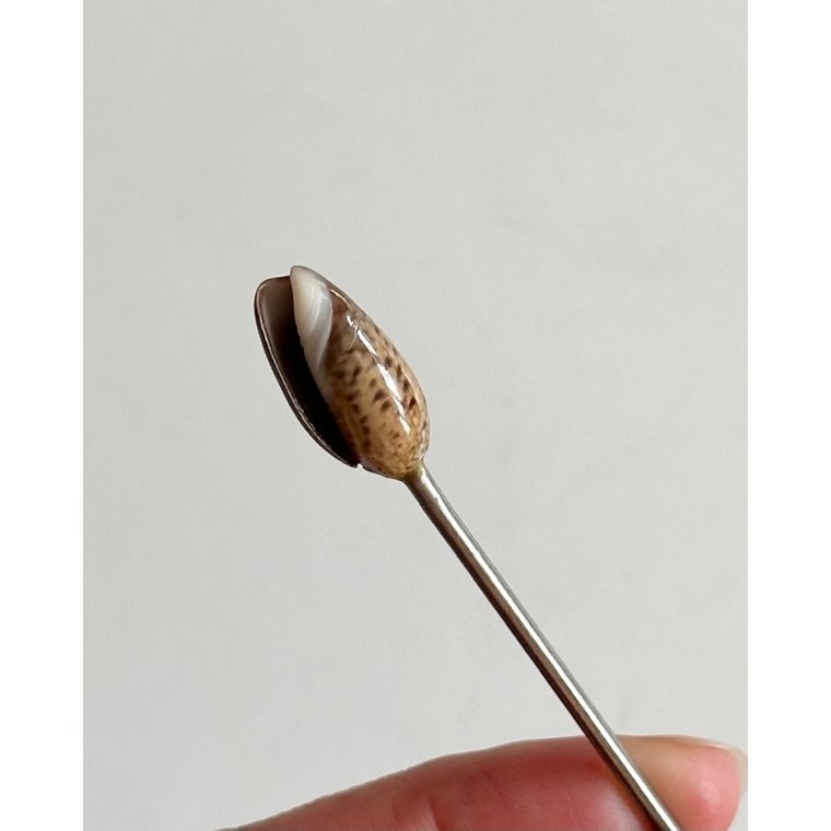 Tapasgaffel m minikonkylie