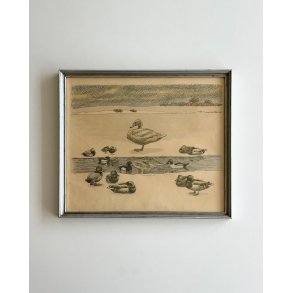 Johannes Larsen, swan and ducks