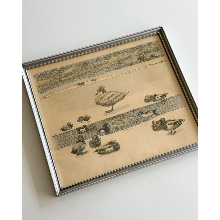 Johannes Larsen, svane og nder