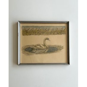 Johannes Larsen, swan in water
