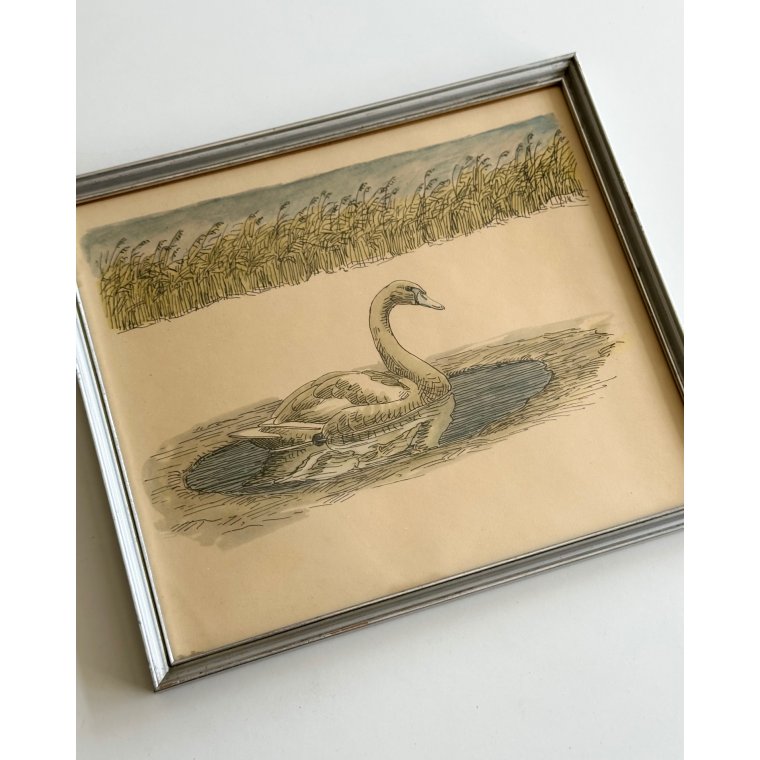 Johannes Larsen, svane i vand