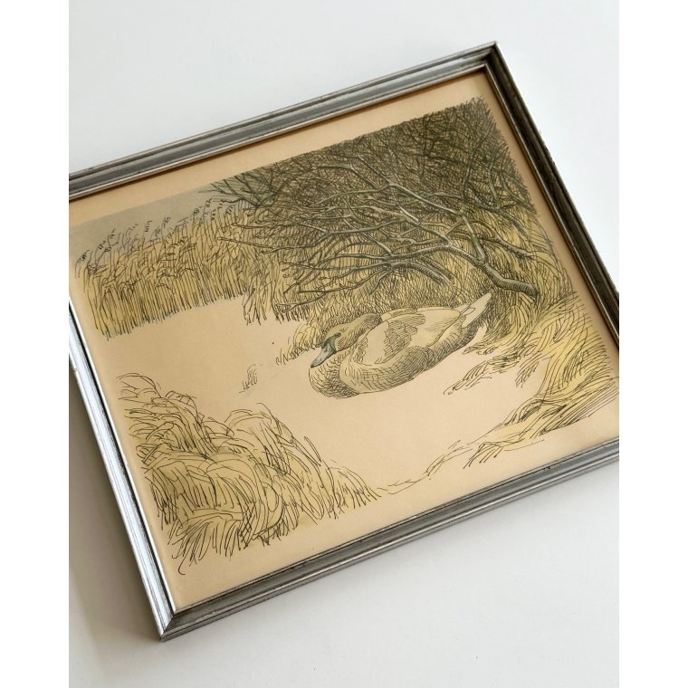 Johannes Larsen, svane i sne