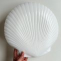 Muslingetallerken, hvid opalineglas, pr stk