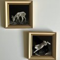 Set of old pictures w animals