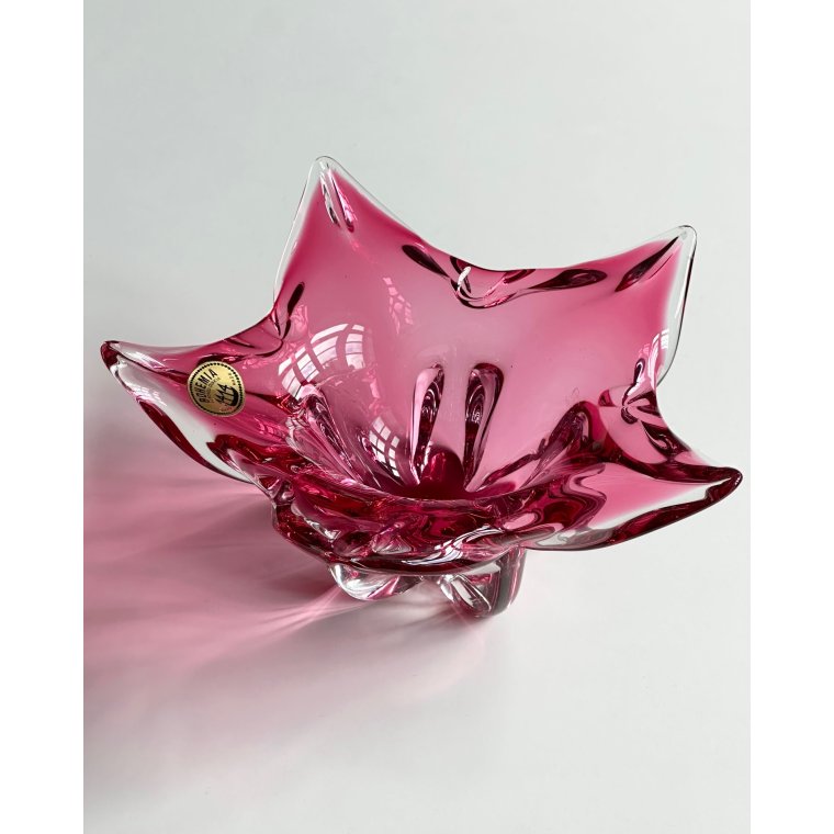 Tjekkisk flammeskl, pink