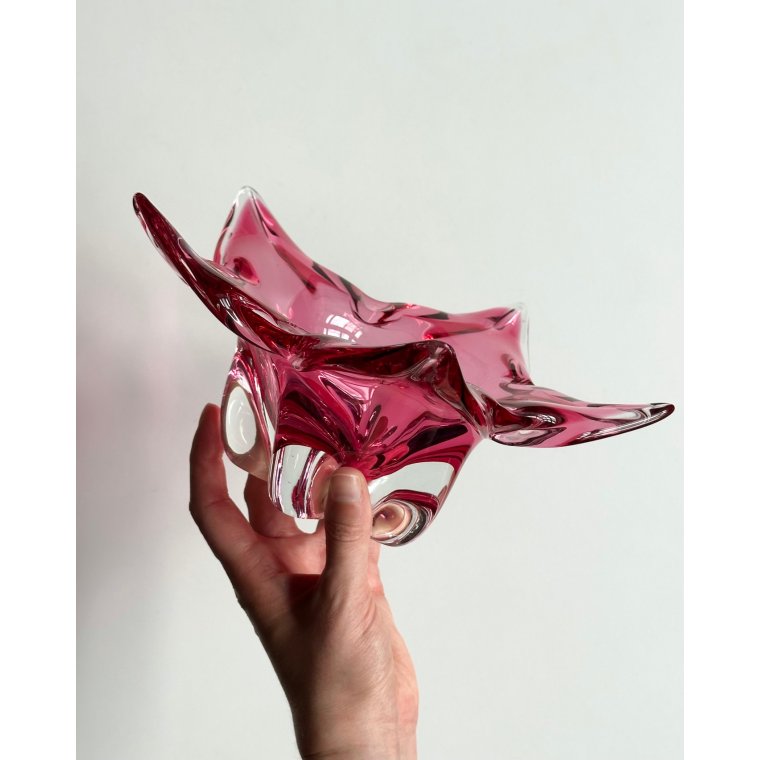 Tjekkisk flammeskl, pink