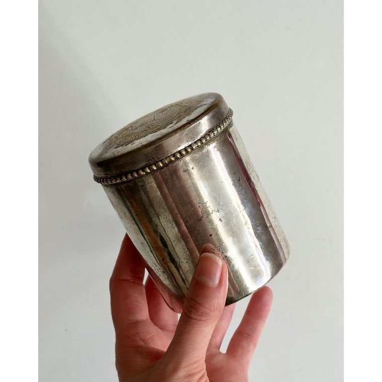 Patineret dse, pletslv