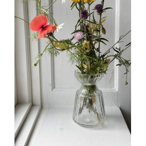 Hyacinth vase, Tamara Aladin, clear